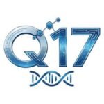 q-17 logo